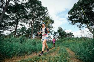 BIB: 
                            <button type="button" onclick="openModal(26037303)" class="btn btn-primary btn-sm float-right btn-popup" data-toggle="modal" data-target=".modal-high-quality">
                        <i class="fas fa-shopping-cart"></i> Add to Cart
                    </button>
                                            <button type="button" onclick="isThisMe(26037303, true)" class="btn btn-success btn-sm float-right btn-popup btn-isme hidden" data-toggle="tooltip" data-placement="bottom" title="นี่คือรูปของคุณใช่ไหม คลิกที่นี่เพื่อเอาเข้าอัลบั้ม">
                        <i class="fas fa-plus"></i> Add to album
                    </button>
                    <button type="button" onclick="isThisMe(26037303, false)" class="btn btn-warning btn-sm float-right btn-popup btn-isnotme hidden">
                        <i class="fas fa-ban"></i> Remove from album
                    </button>